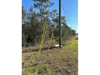 Vacant Land zoned Rural on a corner lot, adjacent intersection - photo 3