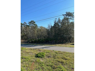 Vacant Land zoned Rural on a corner lot, adjacent intersection - photo 4