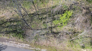 Build a home on this partially cleared lot and you will have a - photo 14