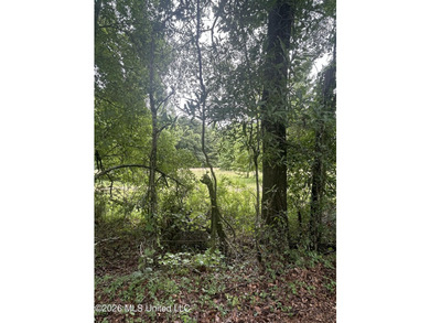 Perfect get away! 31 acres of fun for you. Hunting or fish in - photo 15