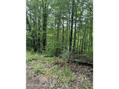 Perfect get away! 31 acres of fun for you. Hunting or fish in - photo 17