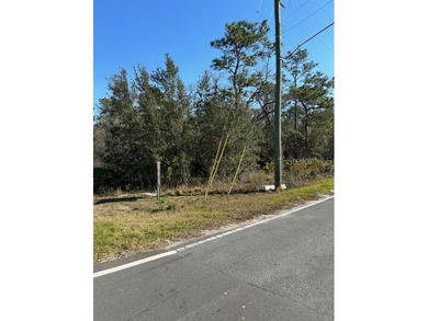 Vacant Land zoned Rural on a corner lot, adjacent intersection - photo 8