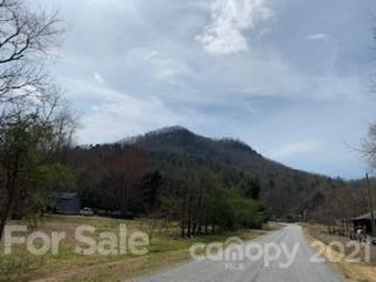 (private lake, pond, creek) Acreage For Sale in Edneyville North Carolina