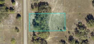 Lehigh Acres Area Lot For Sale in Lehigh Acres Florida