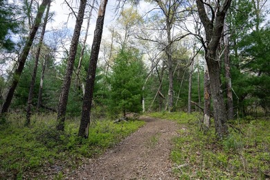 Enjoy this beautiful, wooded retreat and escape from the city - photo 49