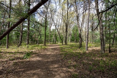 Enjoy this beautiful, wooded retreat and escape from the city - photo 51