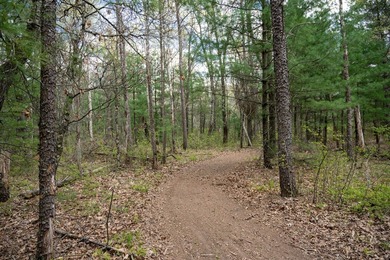 Enjoy this beautiful, wooded retreat and escape from the city - photo 55