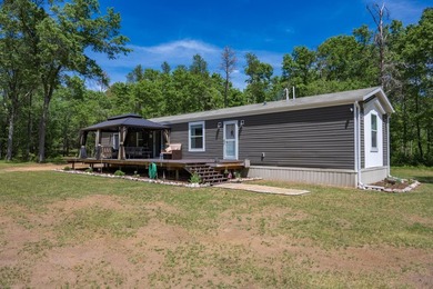 Enjoy this beautiful, wooded retreat and escape from the city - photo 60
