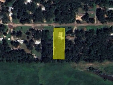 Lake Lot For Sale in Yantis, Texas