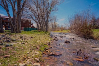 Lake Home For Sale in La Veta, Colorado