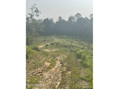 94.8+/- acres tract of rolling terrain with some steep areas - photo 4