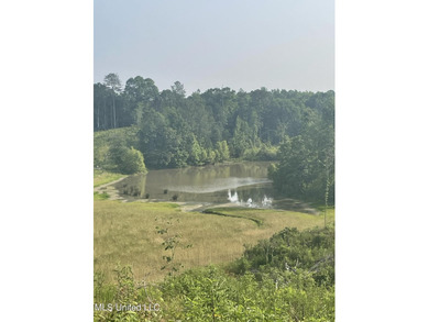94.8+/- acres tract of rolling terrain with some steep areas - photo 5