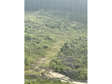 94.8+/- acres tract of rolling terrain with some steep areas - photo 8