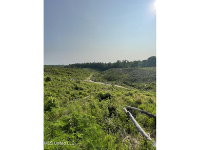 94.8+/- acres tract of rolling terrain with some steep areas - photo 9