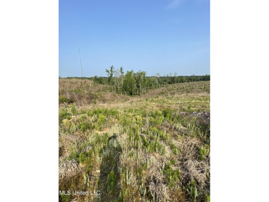 94.8+/- acres tract of rolling terrain with some steep areas - photo 10