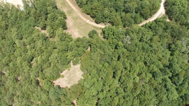 (private lake, pond, creek) Lot For Sale in Protem Missouri