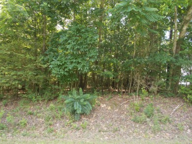 Kentucky Lake Lot For Sale in Camden Tennessee