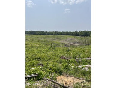 Grenada Reservoir Acreage For Sale in Coffeeville Mississippi