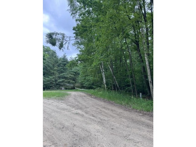Escape to the beauty of Northern Michigan with this unique - photo 1