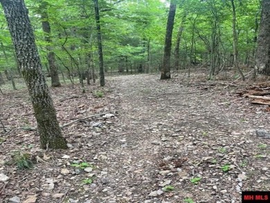 Bull Shoals Lake Lot For Sale in Bull Shoals Arkansas