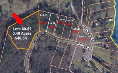 Lake Greenwood Lot For Sale in Waterloo South Carolina