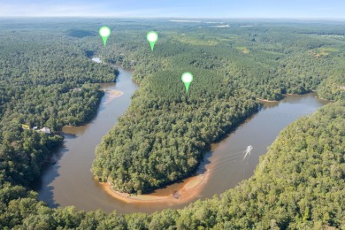 Smith Lake (Clear Creek) A rare offering of 174 acres with - Lake Acreage For Sale in Double Springs, Alabama