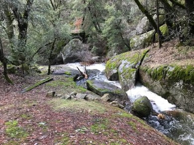Lake Lot For Sale in Bass Lake, California