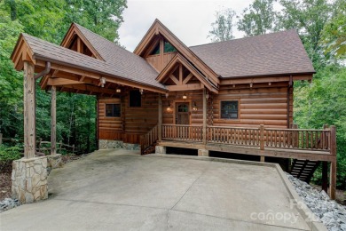 Lake Home For Sale in Lake Lure, North Carolina