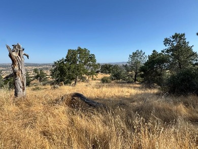 Millerton Lake Acreage For Sale in Friant California