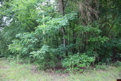 Lake Lot For Sale in Lakeview, Arkansas