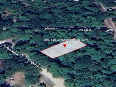 Lake Sam Rayburn  Lot For Sale in Huntington Texas