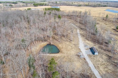 Lake Acreage For Sale in Deer Lodge, Tennessee