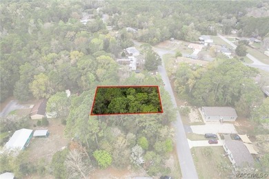 Two buildable lots for the price of one, with the option to - photo 11