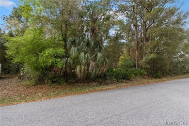 Two buildable lots for the price of one, with the option to - photo 12