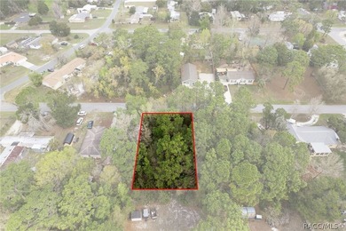 Two buildable lots for the price of one, with the option to - photo 13