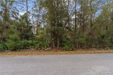 Two buildable lots for the price of one, with the option to - photo 15