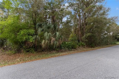 Two buildable lots for the price of one, with the option to - photo 17