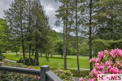 This totally renovated mountain retreat is a perfect blend of - photo 48