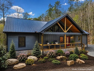 Lake Home For Sale in Ellijay, Georgia
