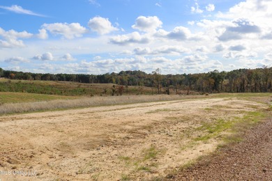 Grenada Reservoir Acreage For Sale in Grenada Mississippi