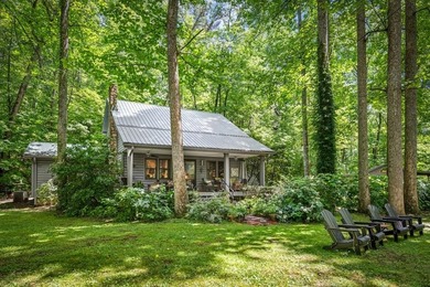 (private lake, pond, coastal) Home For Sale in Blue Ridge Georgia