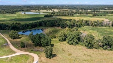 (private lake, pond, coastal) Acreage For Sale in Fulton Missouri