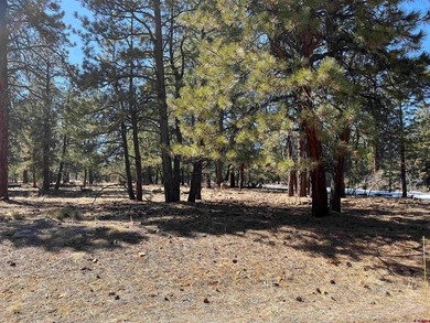 (private lake, pond, creek) Lot For Sale in Ridgway Colorado