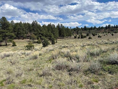 (private lake, pond, creek) Lot For Sale in Ridgway Colorado