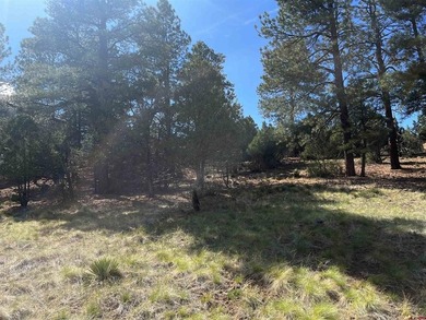 Donna M Whiskeman, RE/MAX Cimarron Realty, Cell:,,: A beautiful - photo 2