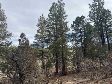 Donna M Whiskeman, RE/MAX Cimarron Realty, Cell:,,: A beautiful - photo 3