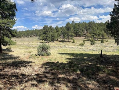 Donna M Whiskeman, RE/MAX Cimarron Realty, Cell:,,: A beautiful - photo 4