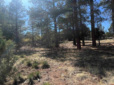 Donna M Whiskeman, RE/MAX Cimarron Realty, Cell:,,: A beautiful - photo 5