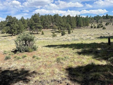 Donna M Whiskeman, RE/MAX Cimarron Realty, Cell:,,: A beautiful - photo 6