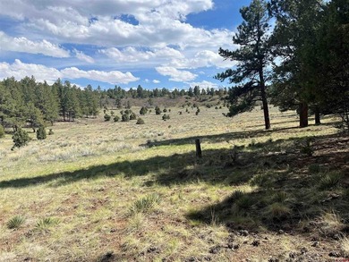Donna M Whiskeman, RE/MAX Cimarron Realty, Cell:,,: A beautiful - photo 7